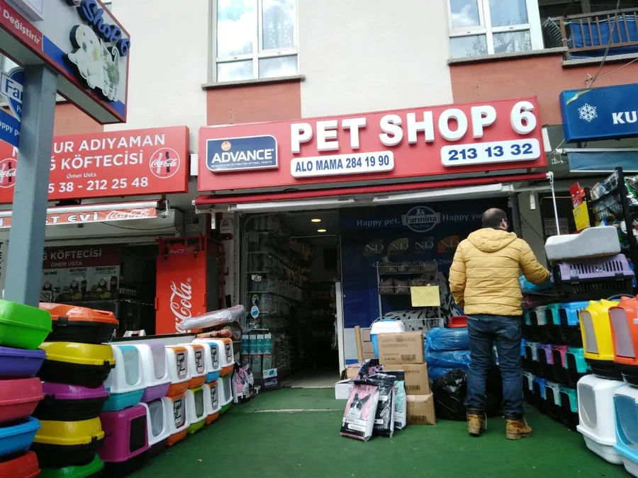 Pet Shop 6, dükkan önü
