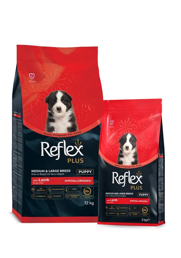 Reflex Plus Kuzu Etli Orta ve Büyük Irk Yavru Köpek Maması