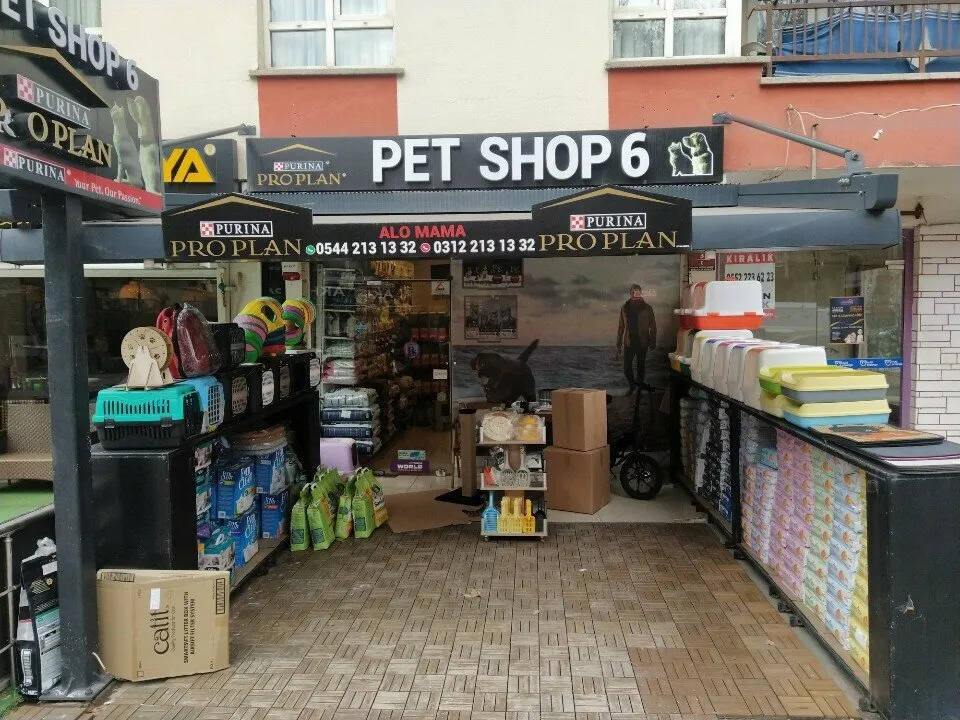 Pet Shop 6 vitrini, 54. Cadde